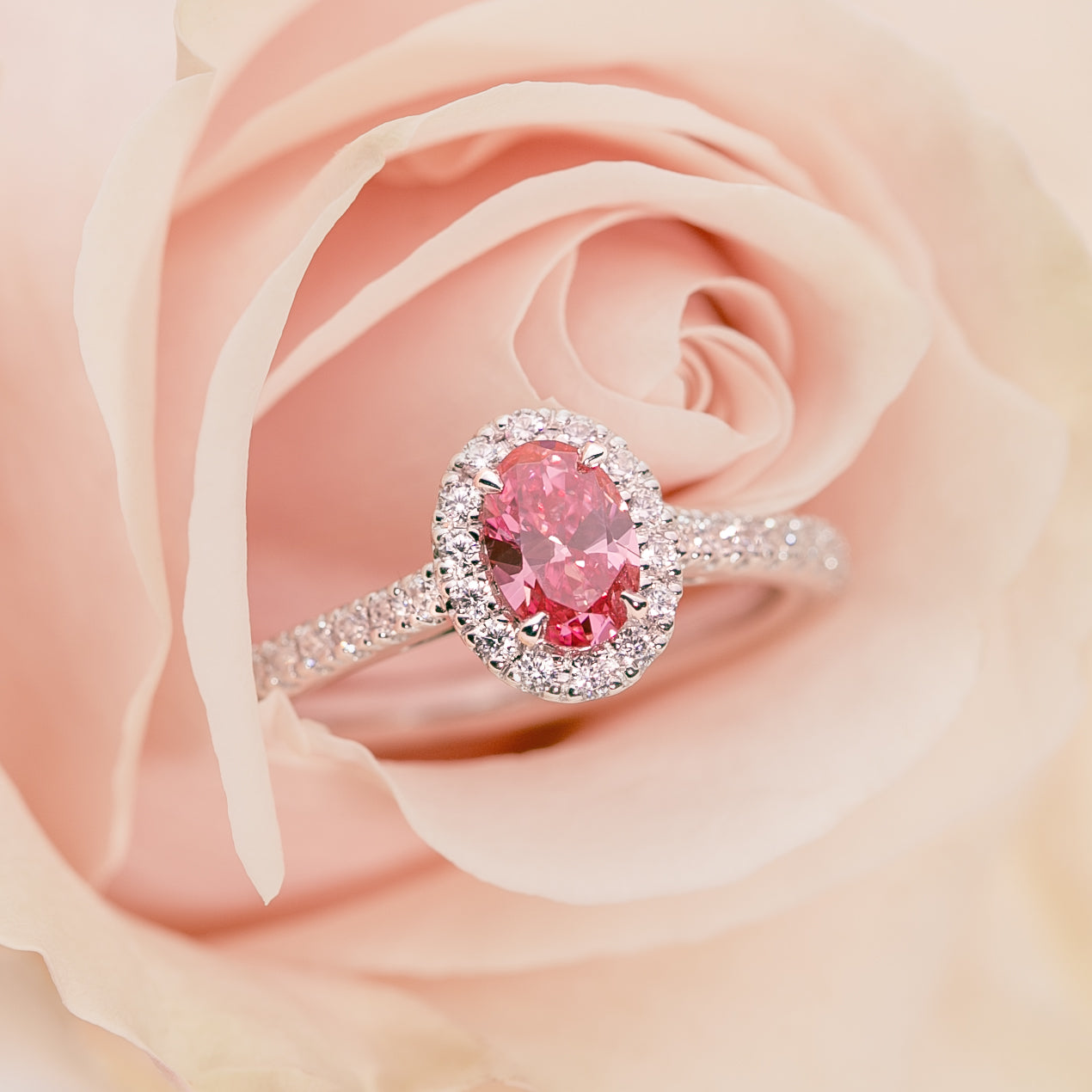 Valentine's Day Rings and Jewellery